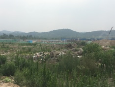 金科集美公馆实景图