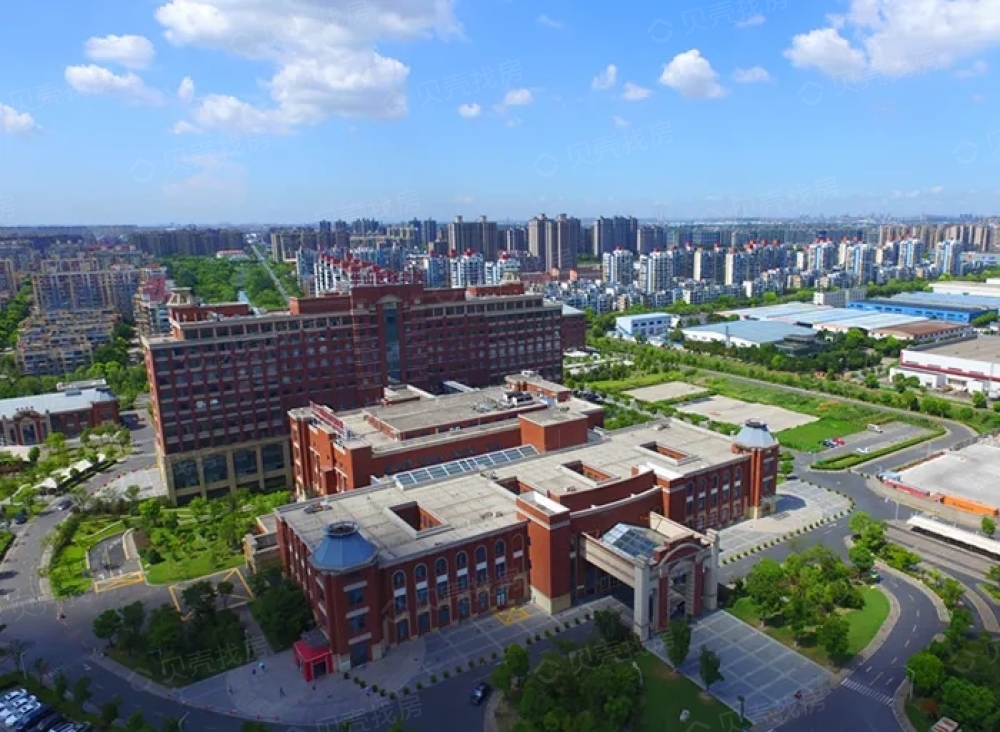 上实海上菁英相册