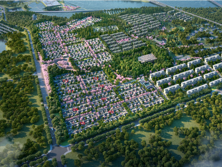 白鹭湾樱花小院楼栋相册