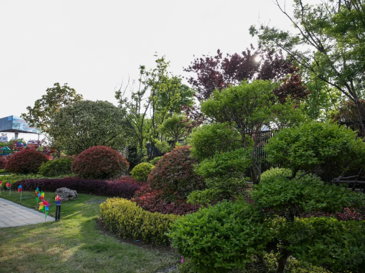 依林小镇实景图相册