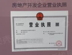 深圳·国际影视文化城开发商营业执照