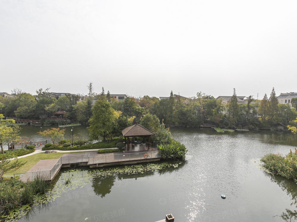 越秀·向东岛相册