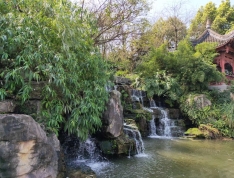枫香桂园实景图
