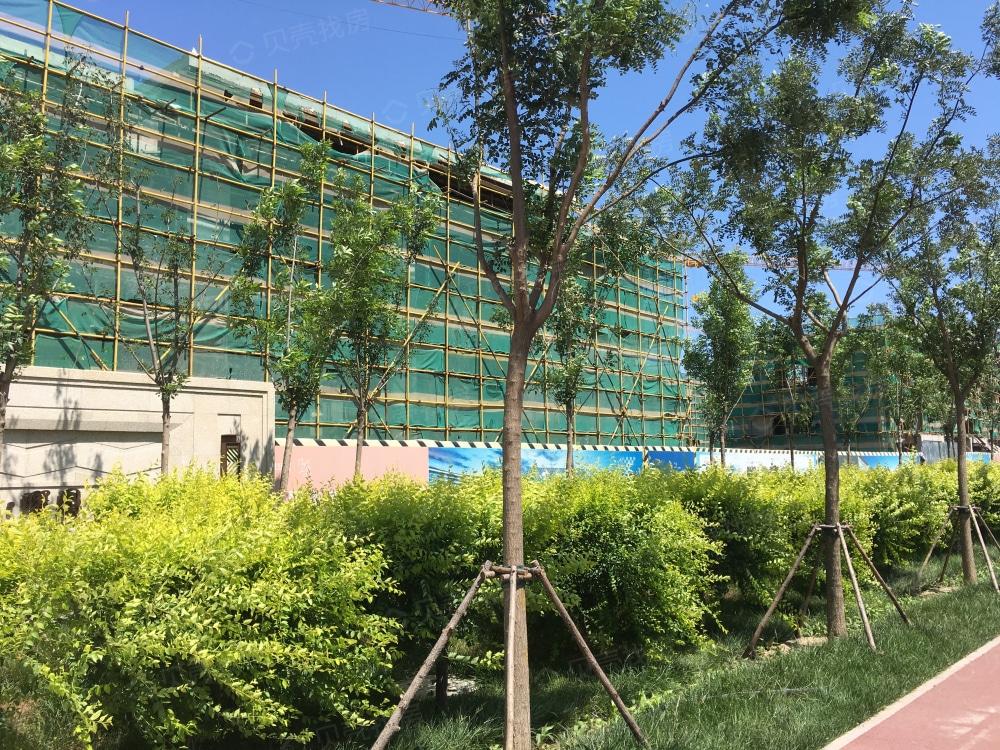 红星天铂湾相册