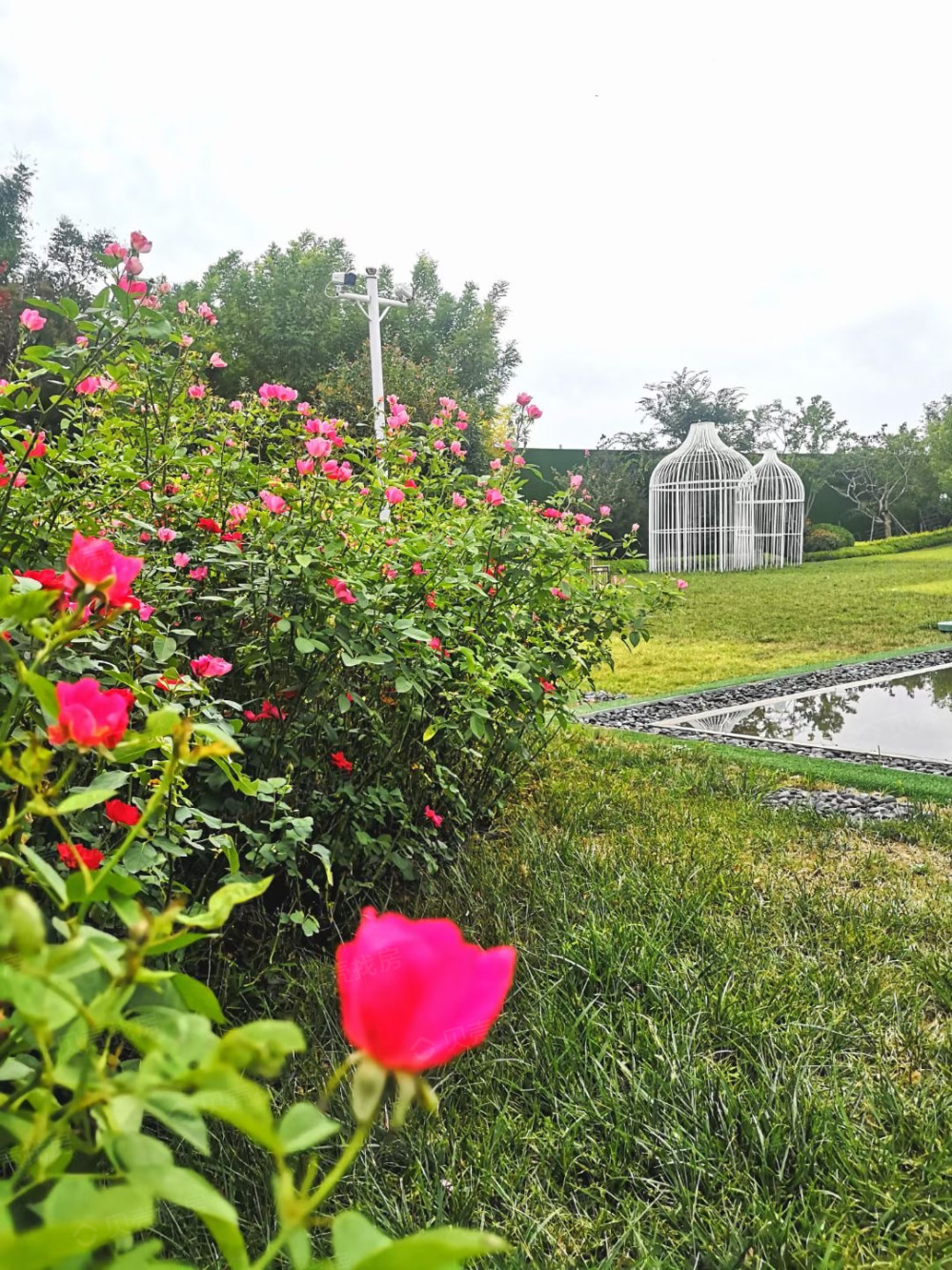鲁商蓝岸公馆实景图