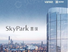 万科鑫苑SkyPark云璞效果图