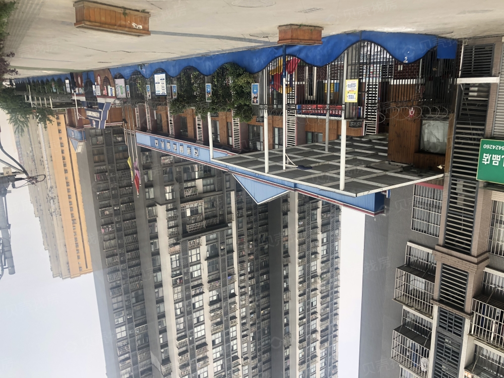 香木林宽景相册