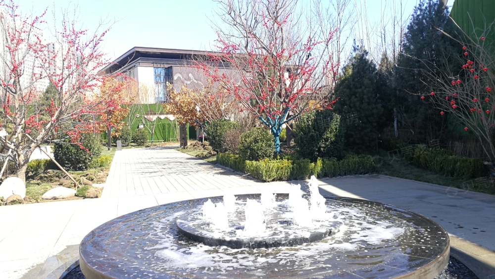 运河文化城-189相册