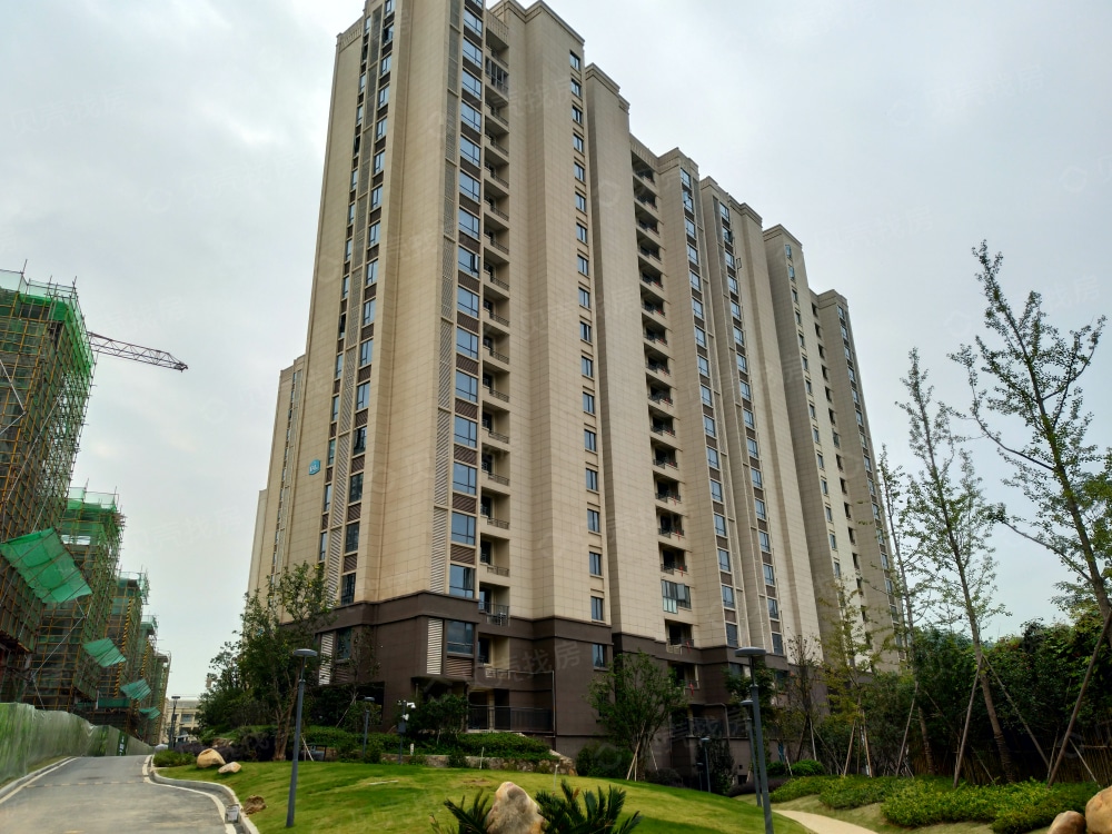 金佳云舒花城相册