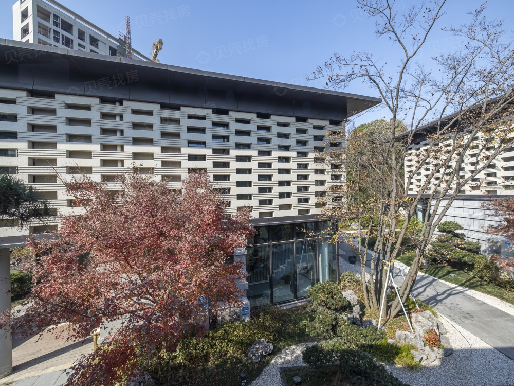 黄浦湾·玉象府相册