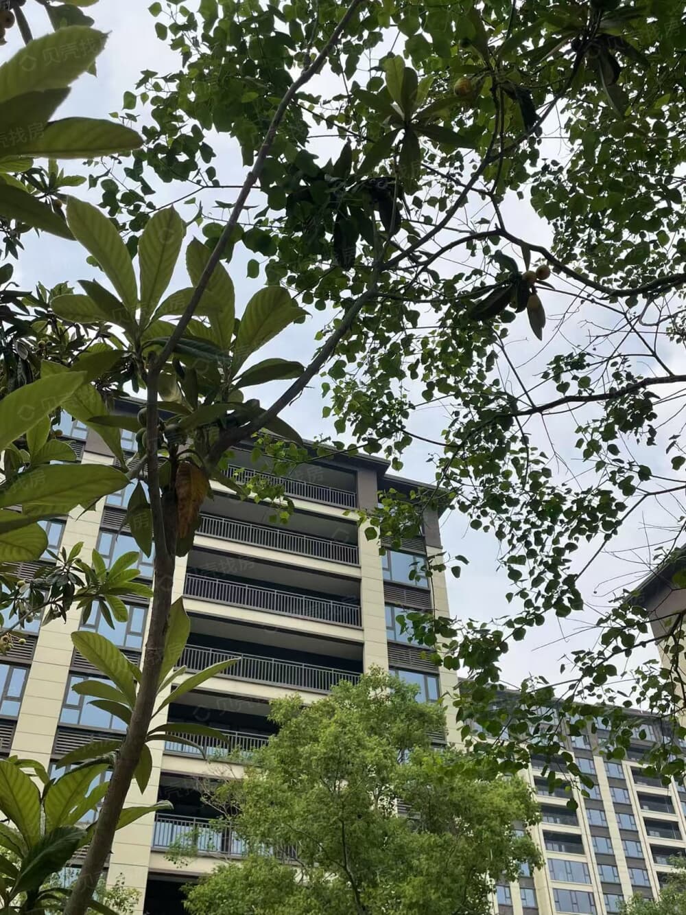 中成·伊山苑项目现场