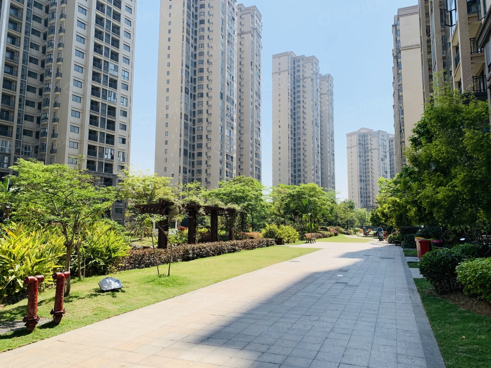 夏商新纪元相册