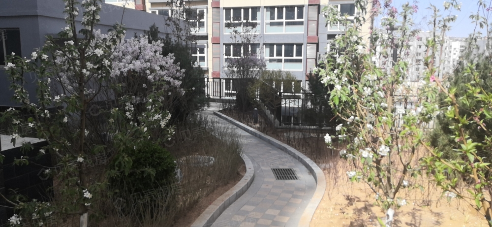 万华小区D区实景图