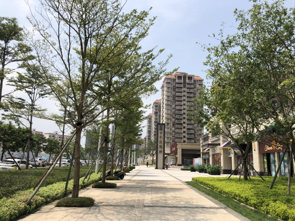 新会保利西海岸相册