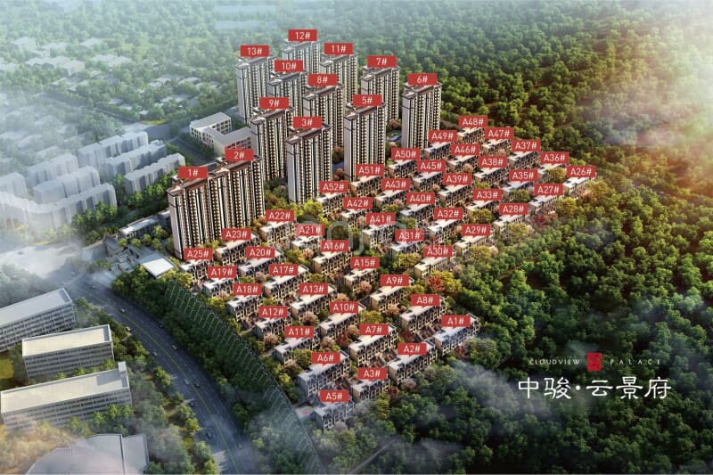 中骏云景府