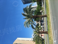 绿城蓝湾半岛实景图