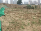 金科集美公馆实景图