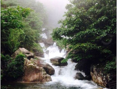 天目观山月小区配套