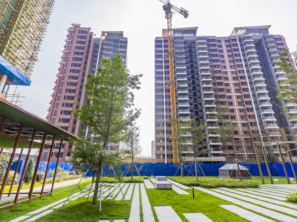 盛迪嘉·光明1号相册