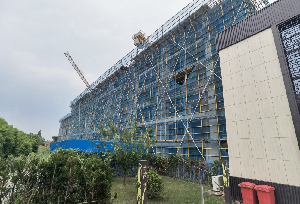 崇明岛.紫竹园相册