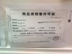 鸿通大学府预售许可证