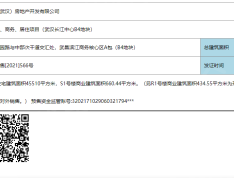 武汉长江中心预售许可证