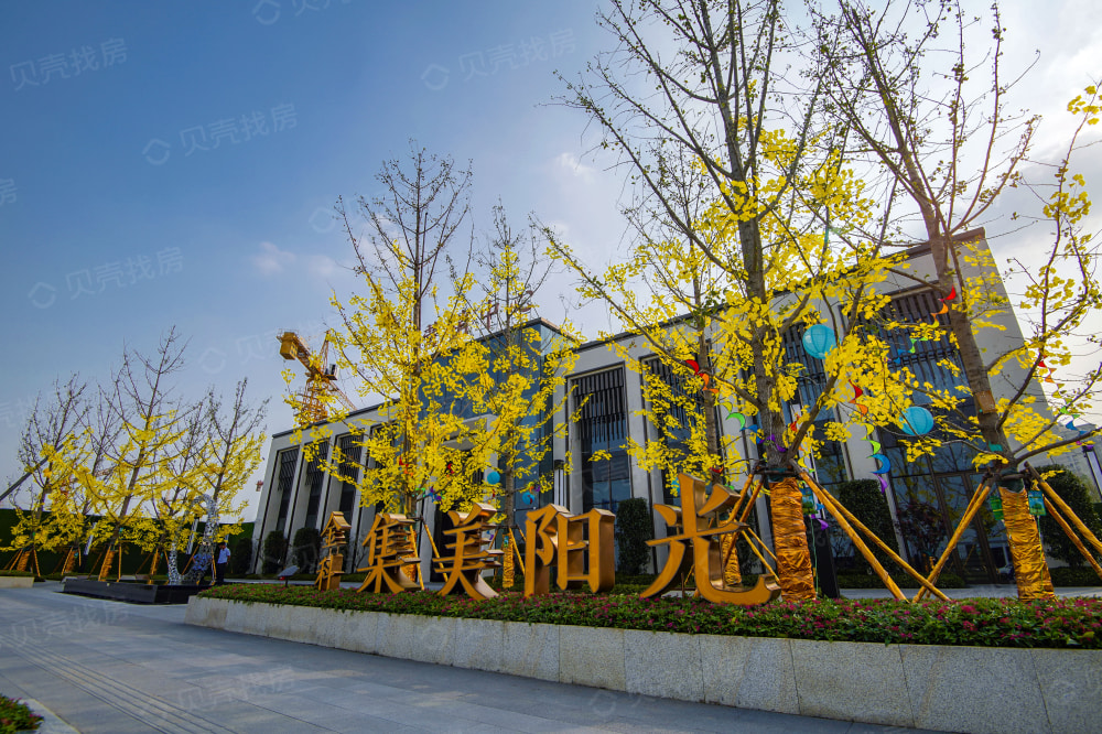 金科集美阳光相册