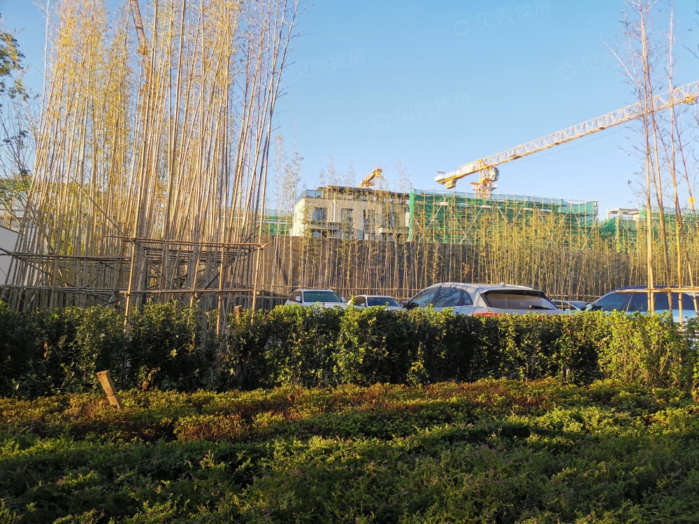 德信交投·隐秀云庐相册