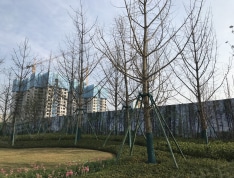 保利时代实景图
