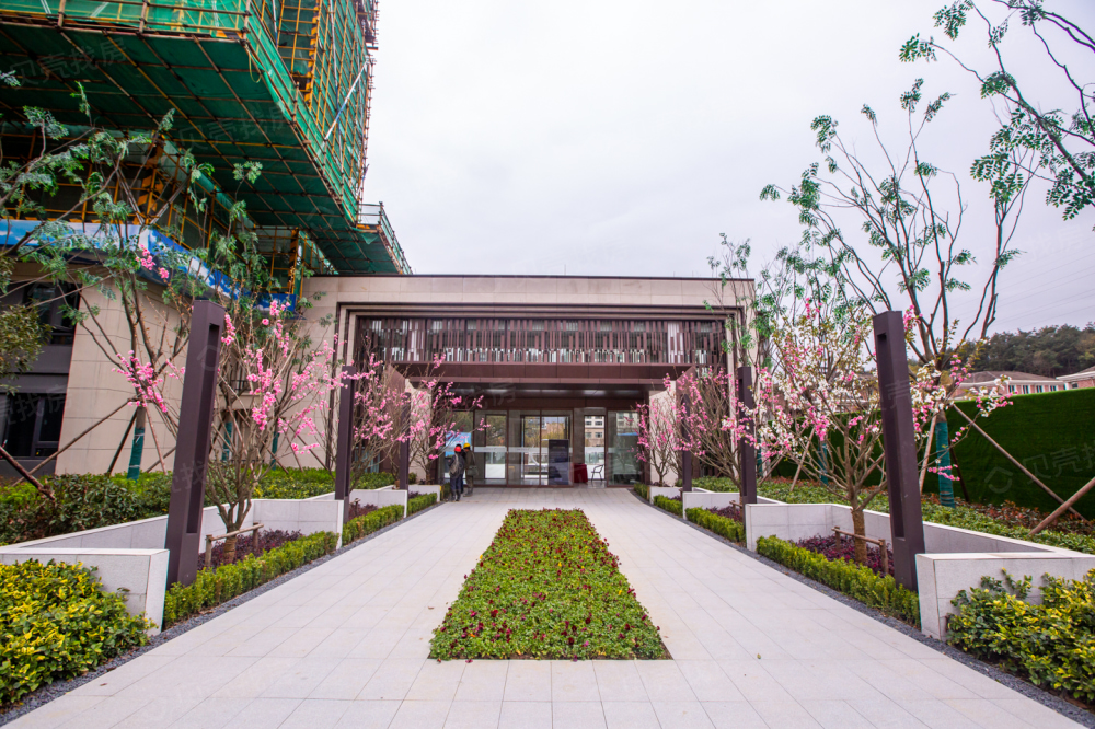 中杨时代潮鸣相册