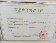 尚东国际南一区预售许可证