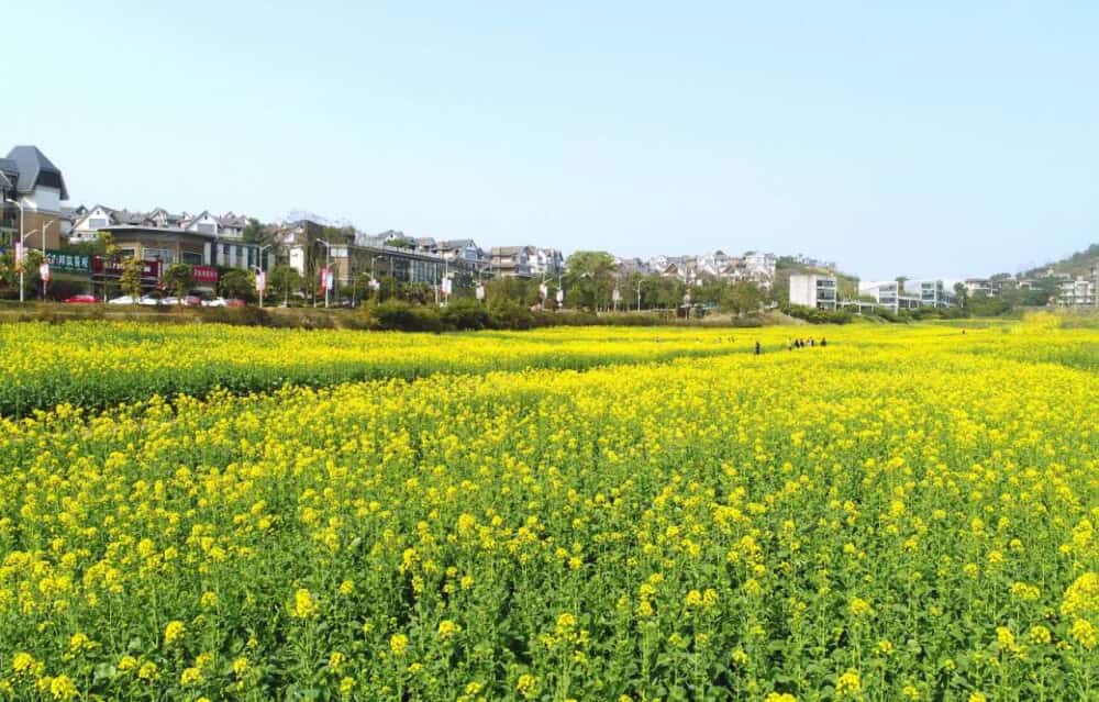 【青龙湾蓝谷小镇_杭州青龙湾蓝谷小镇楼盘】房价,户型,开盘时间详情