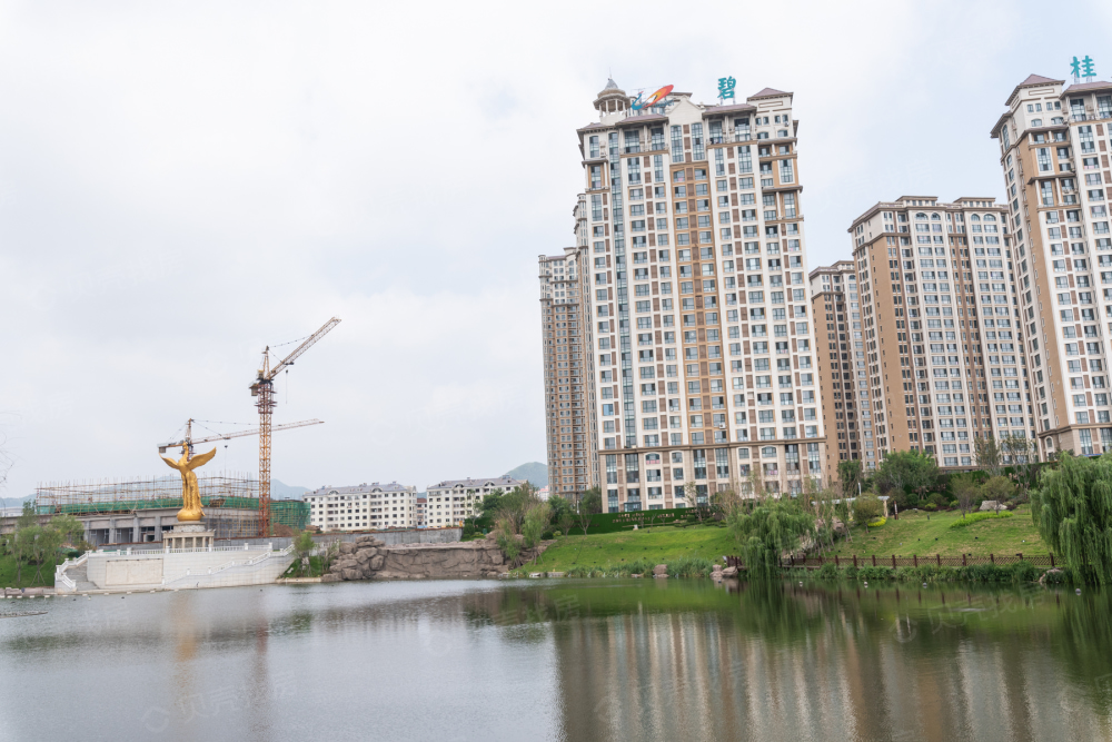 碧桂园凤凰山庄c区相册