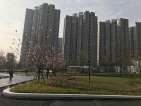 保利时代实景图