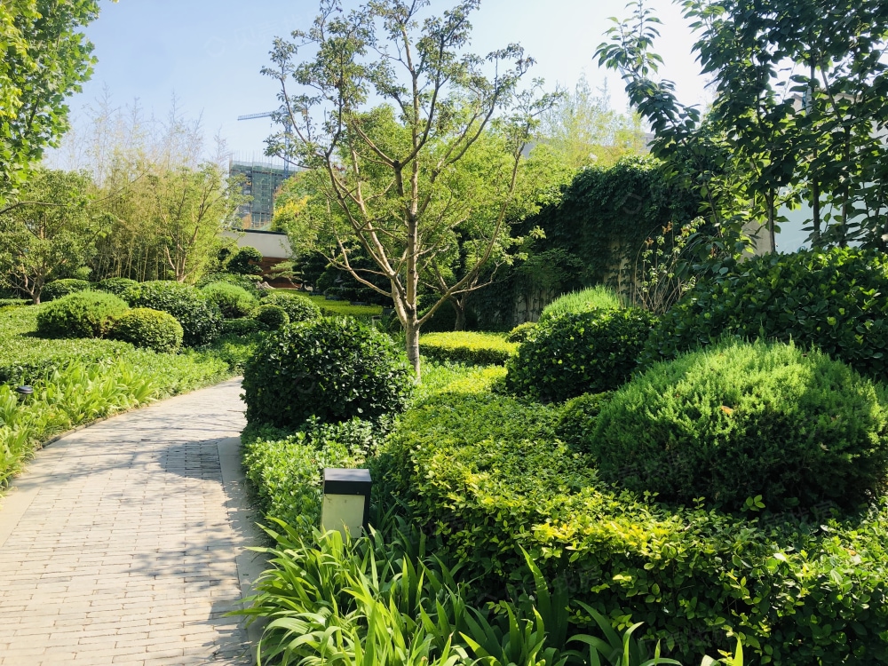 格调松间实景图