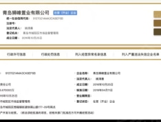 天峰首府开发商营业执照