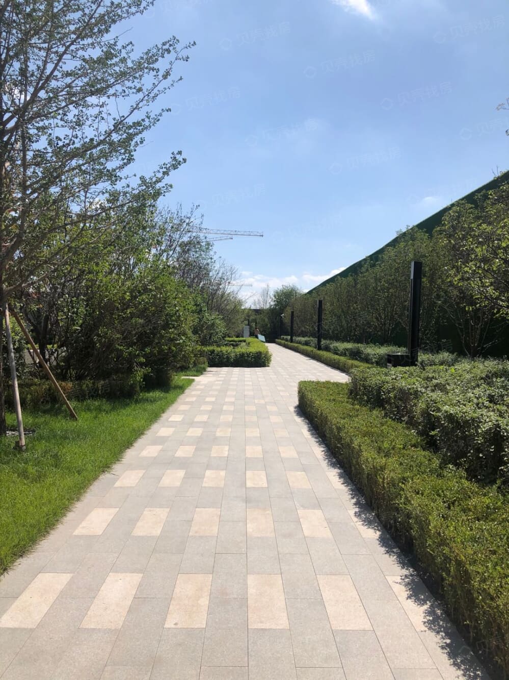 旭辉理想城相册