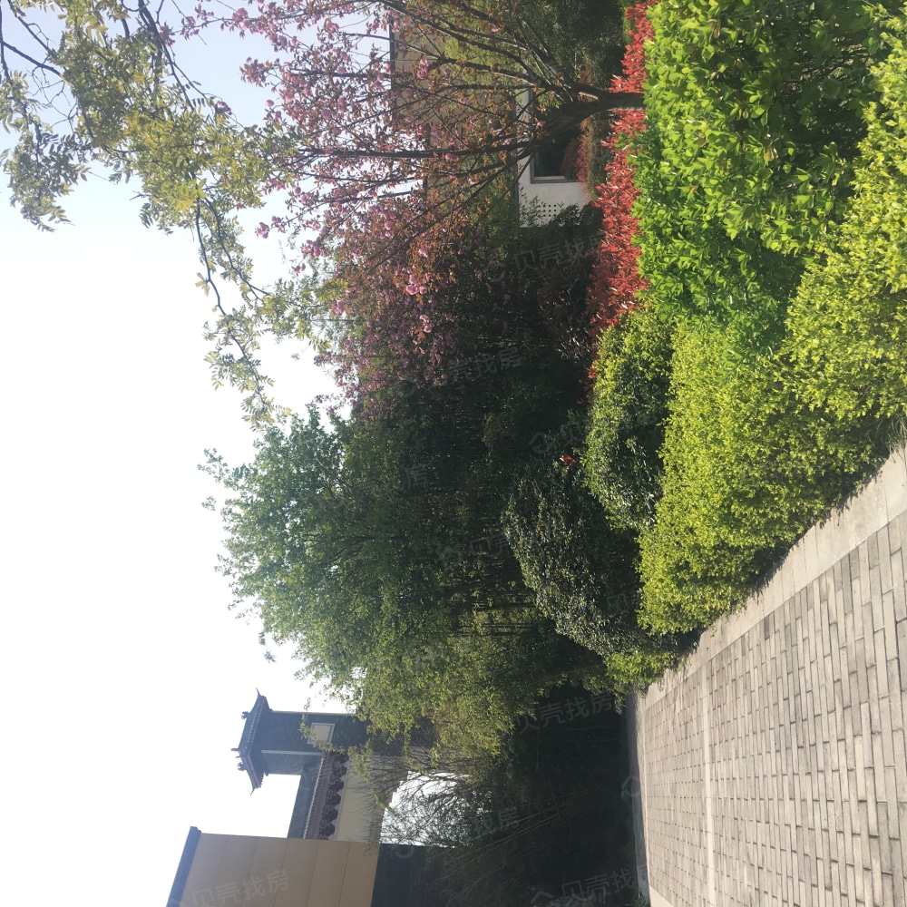 天朗富春棠樾相册