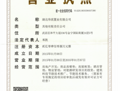 江城之门开发商营业执照