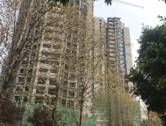 朗诗未来街区实景图
