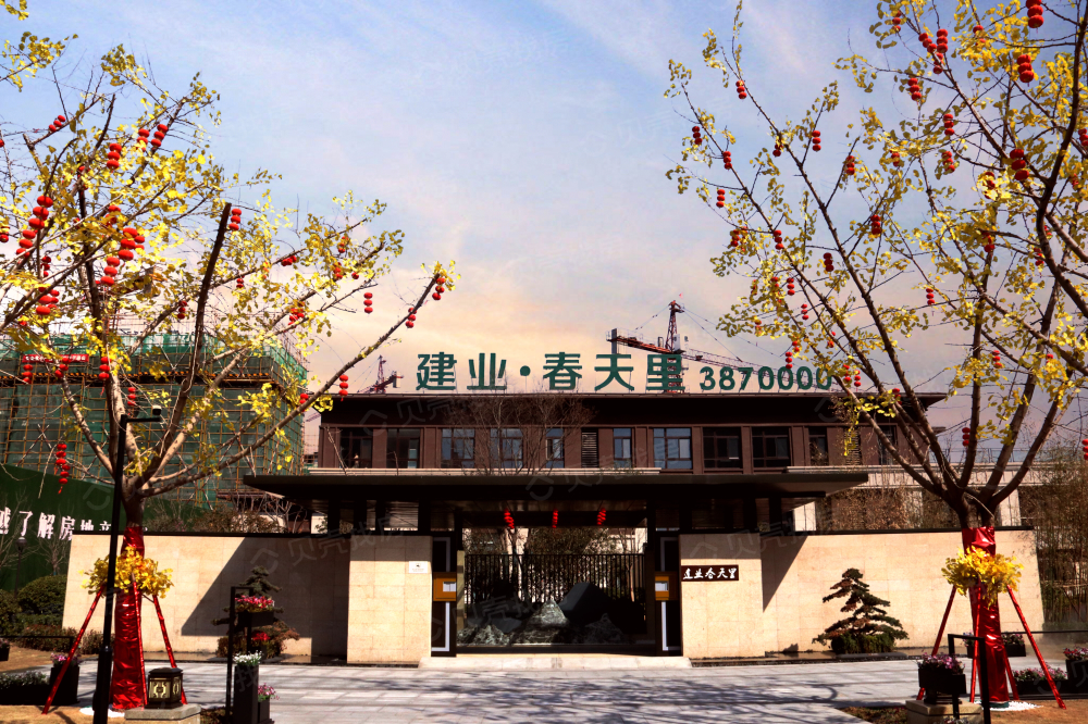 建业春天里
