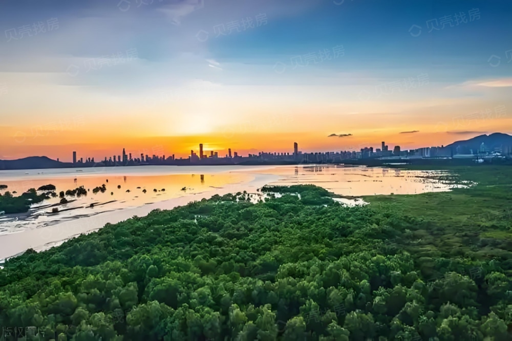 海之梦度假花园效果图