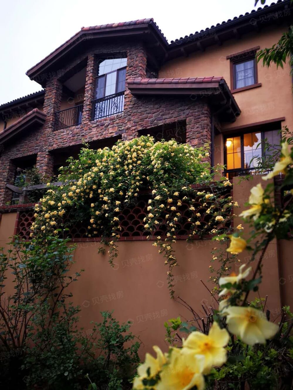 东星卡纳溪谷相册