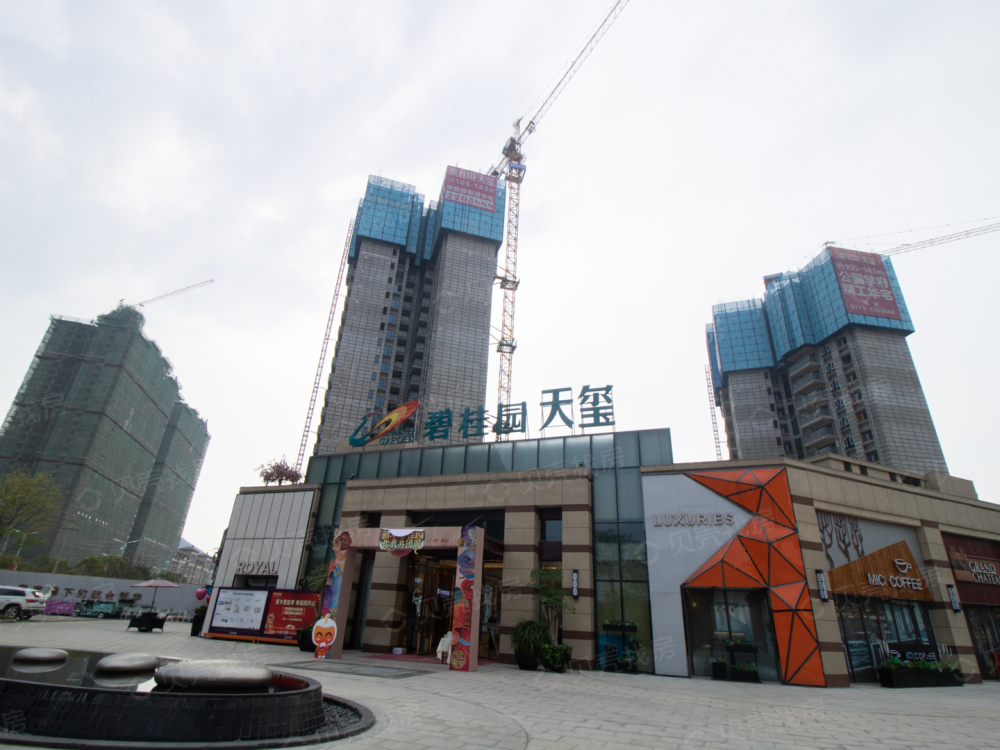 碧桂园天玺相册