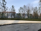 保利时代实景图