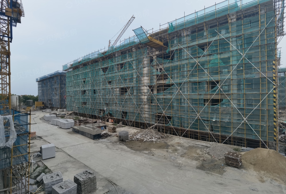 崇明岛.紫竹园相册