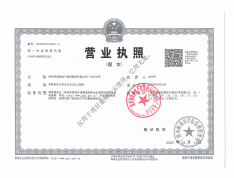 武汉城建·保利·花语和岸销售代理营业执照