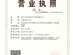 金域缇香二期开发商营业执照