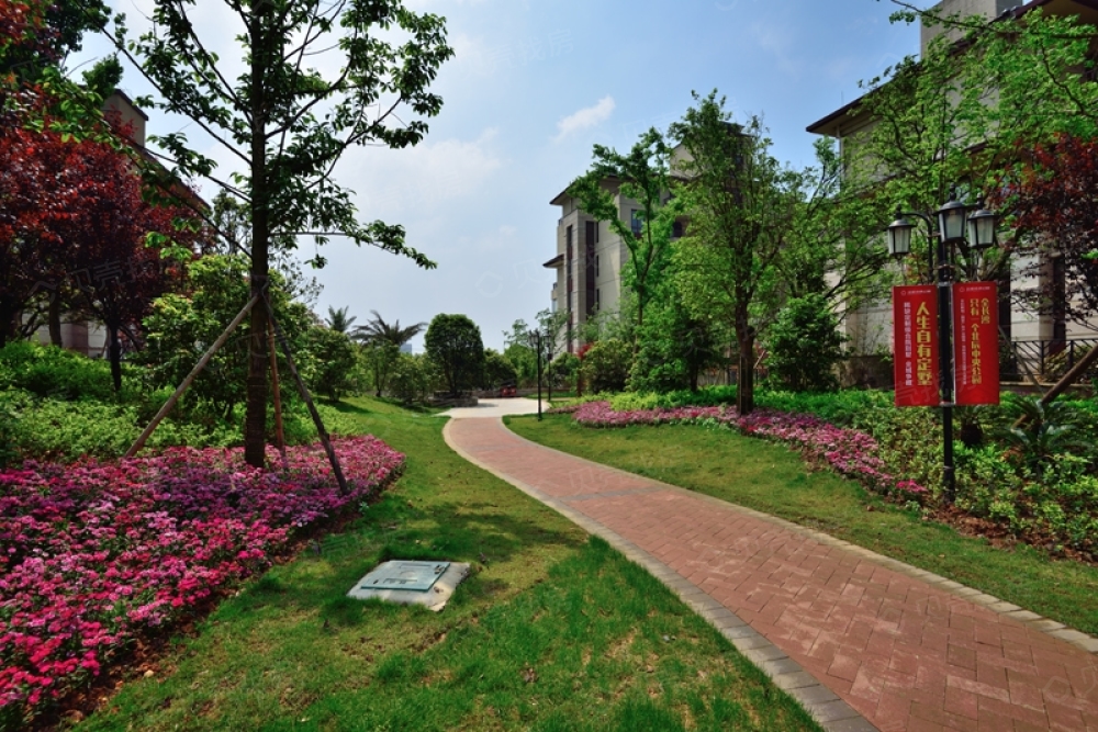 北辰中央公园相册