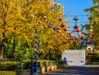 花样年•麓湖国际实景图